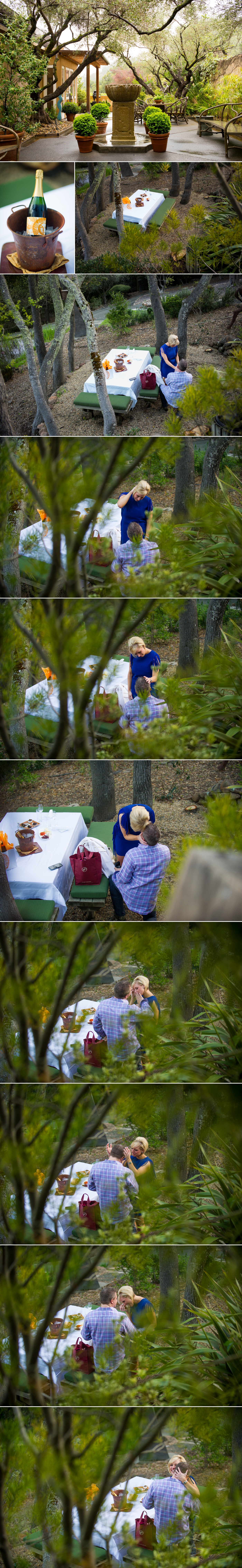 Napa Valley Proposal Photos at Auberge du Soleil 1